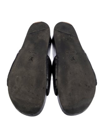 Louis Vuitton 2021 LV Monogram Slides