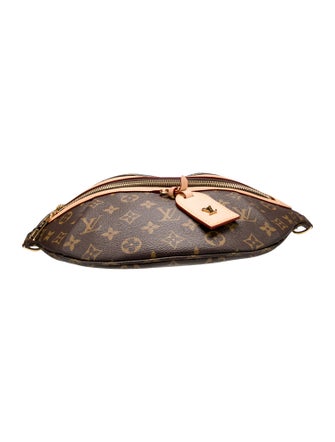 Louis Vuitton LV Monogram Bumbag