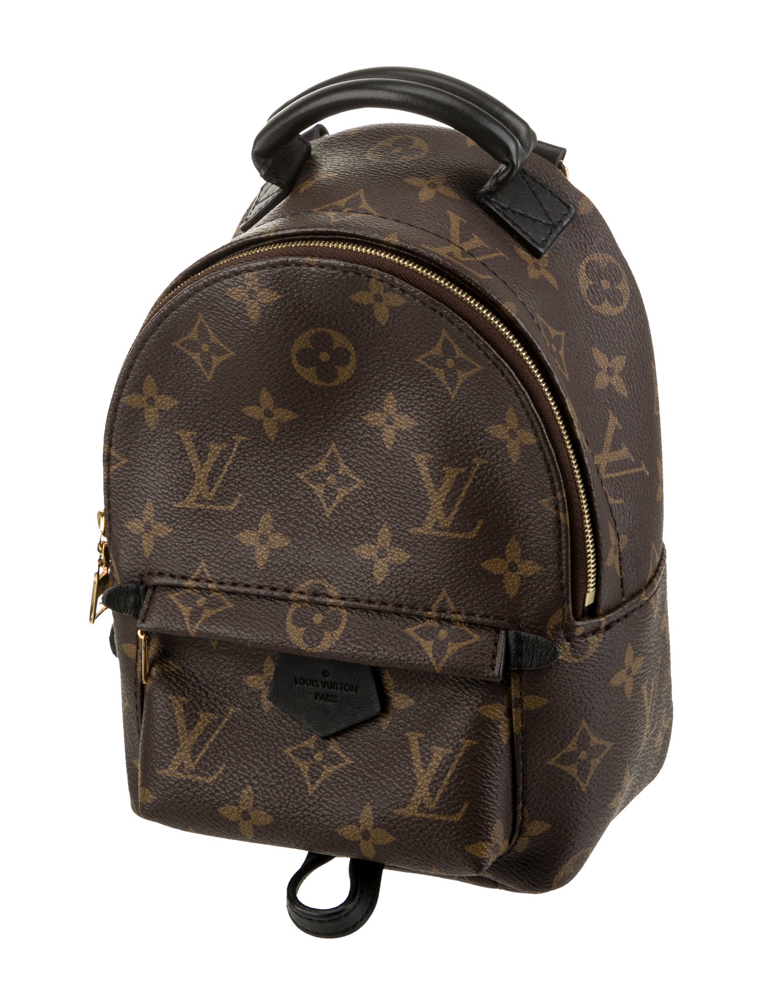 Louis Vuitton LV Monogram Palm Springs Mini
