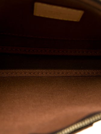 Louis Vuitton LV Monogram Pochette Accessoires