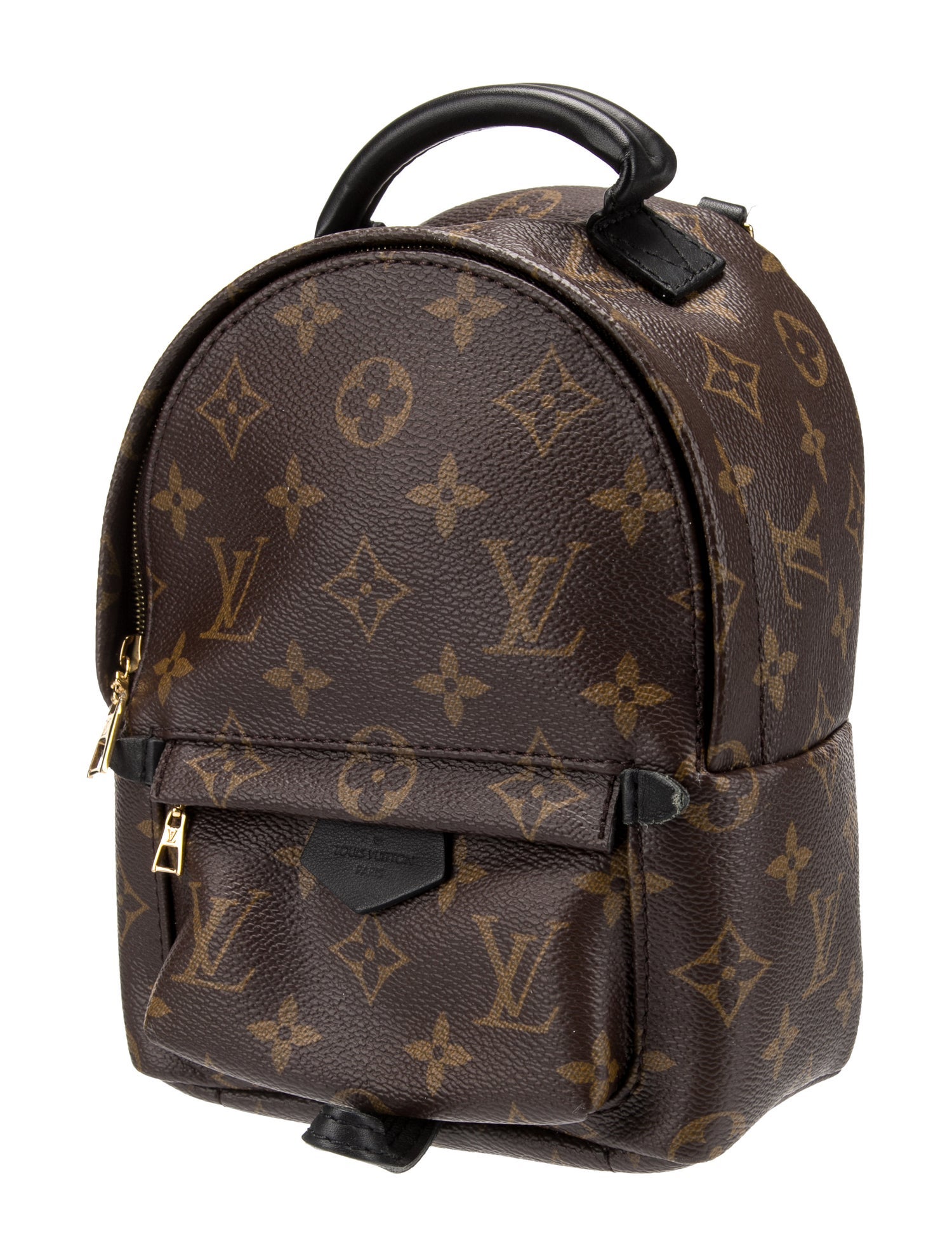 Louis Vuitton LV Monogram Palm Springs Mini