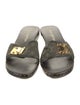 Louis Vuitton LV Monogram Canvas Slides