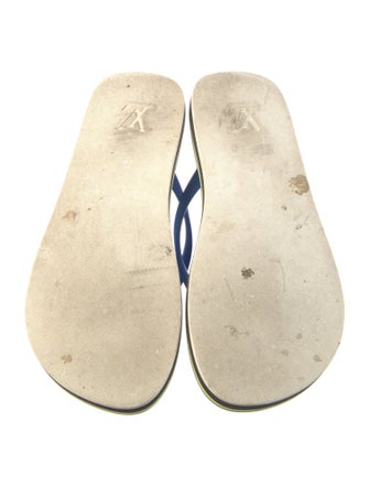 Louis Vuitton 2019 LV Monogram Flip Flops