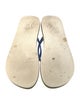 Louis Vuitton 2019 LV Monogram Flip Flops
