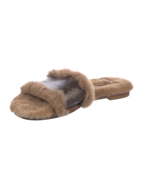 Louis Vuitton LV Monogram Slides