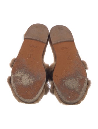 Louis Vuitton LV Monogram Slides