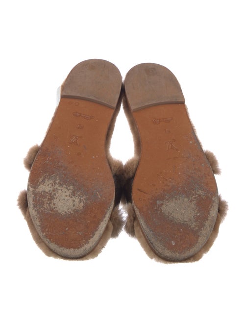 Louis Vuitton LV Monogram Slides