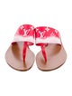 Louis Vuitton 2019 Palma Thong Slides
