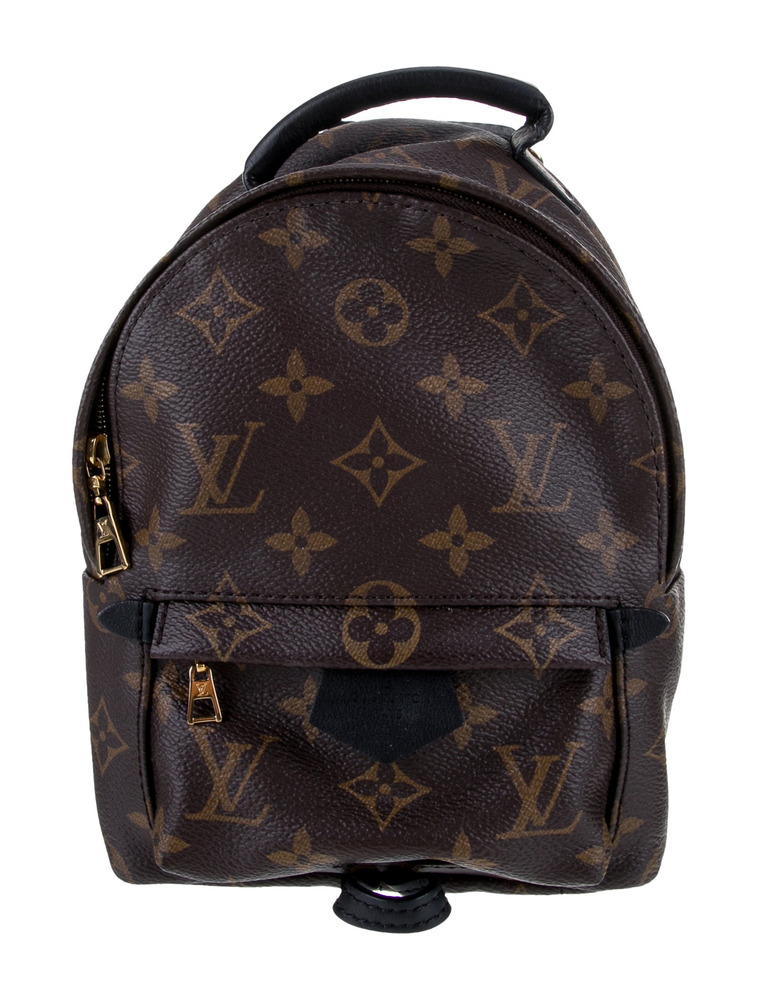 Louis Vuitton LV Monogram Palm Springs Mini