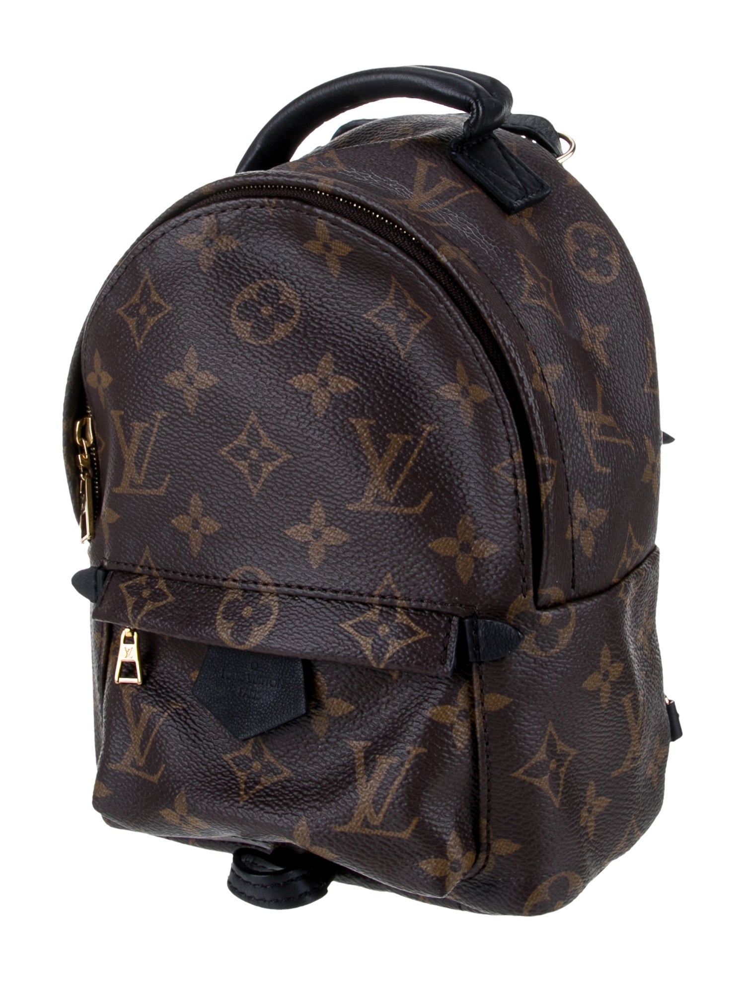 Louis Vuitton LV Monogram Palm Springs Mini