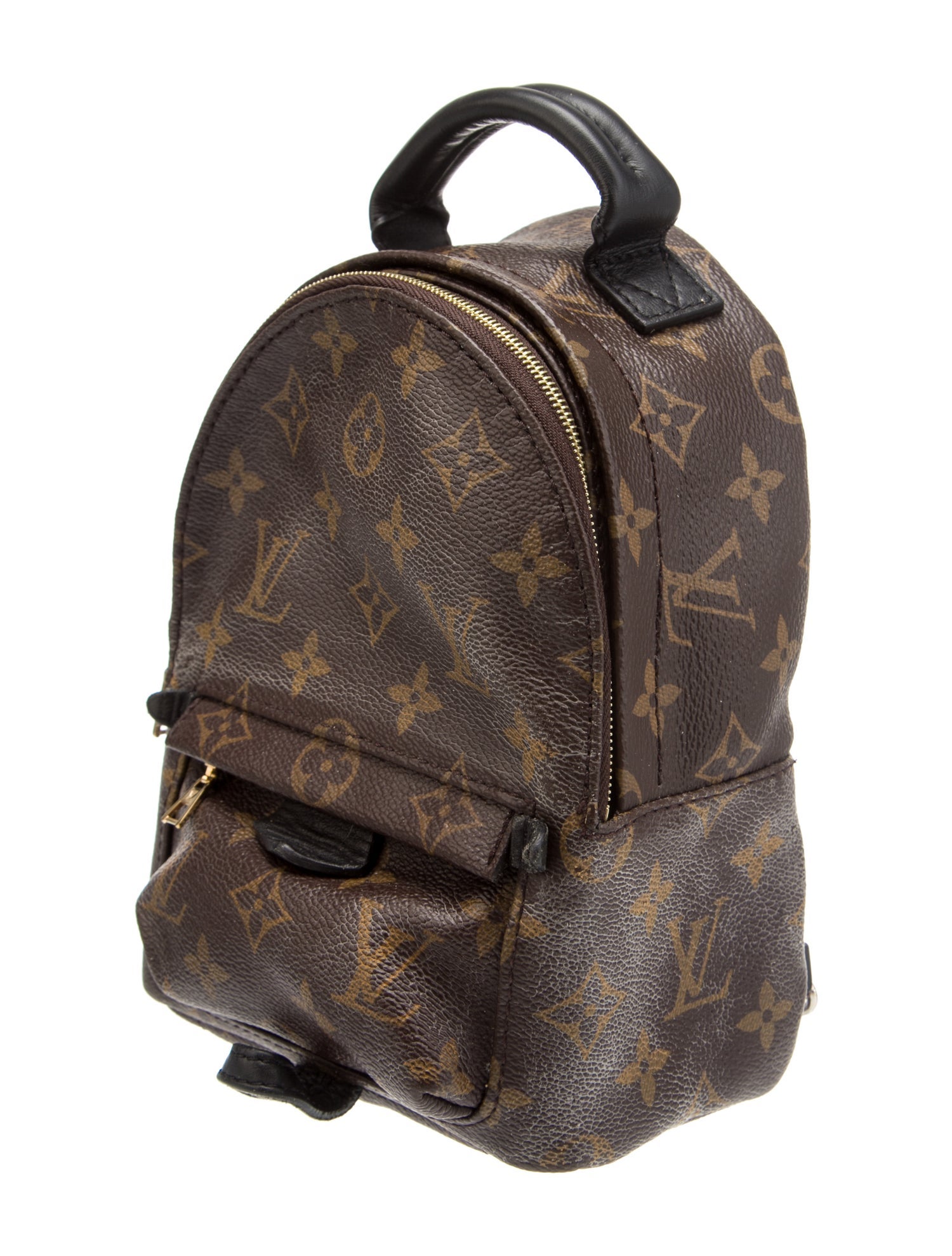 Louis Vuitton Monogram Palm Springs