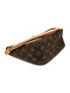 Louis Vuitton Shoulder Bag