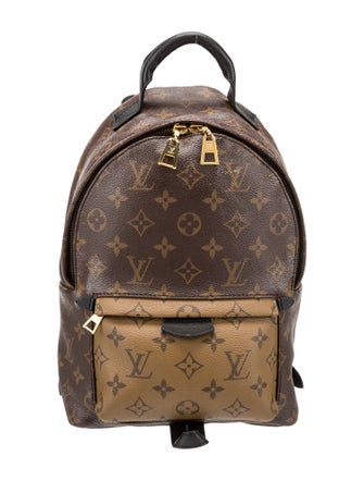 Louis Vuitton LV Monogram Palm Springs PM