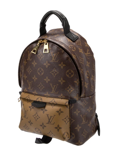 Louis Vuitton LV Monogram Palm Springs PM
