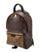 Louis Vuitton LV Monogram Palm Springs PM