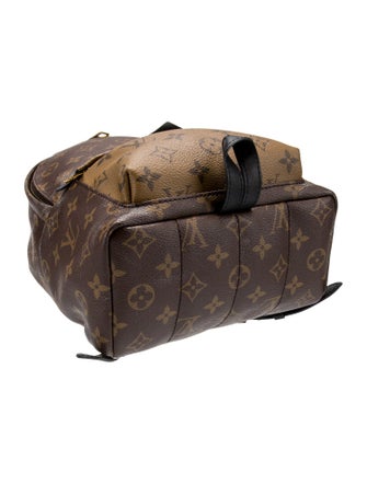 Louis Vuitton LV Monogram Palm Springs PM
