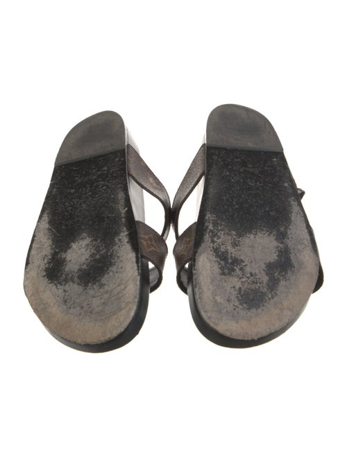 Louis Vuitton LV Monogram Slides