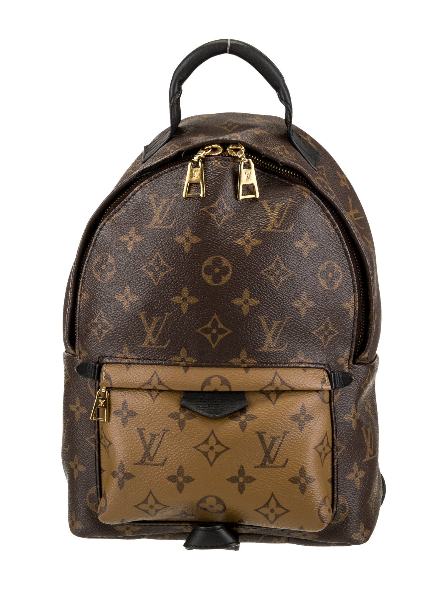 Louis Vuitton LV Monogram Palm Springs PM