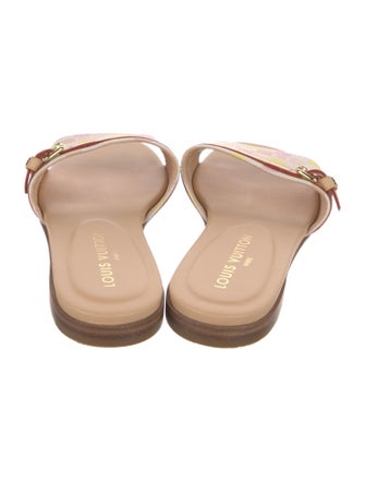 Louis Vuitton Leather Printed Slides