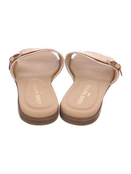 Louis Vuitton Leather Printed Slides