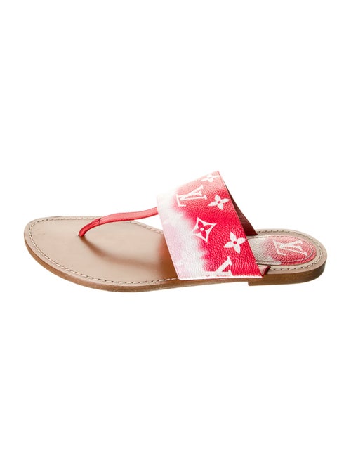 Louis Vuitton LV Monogram Slides