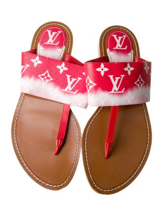 Louis Vuitton LV Monogram Slides
