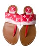 Louis Vuitton LV Monogram Slides