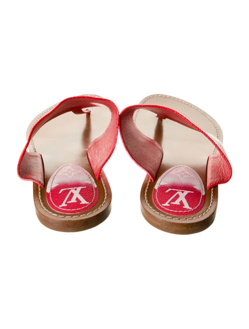 Louis Vuitton LV Monogram Slides