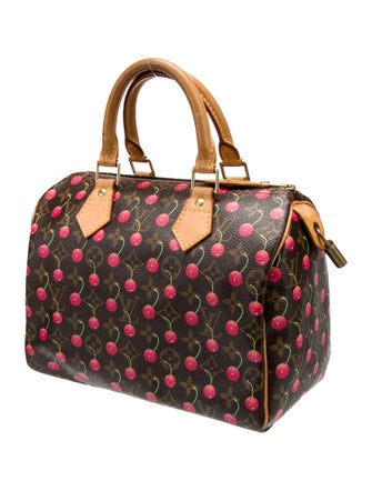 Louis Vuitton LV Monogram Speedy 25