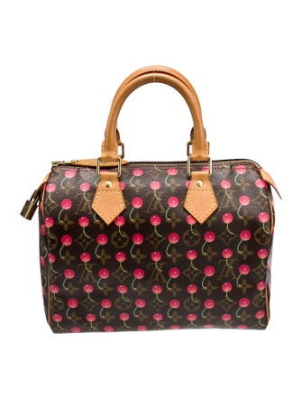 Louis Vuitton LV Monogram Speedy 25