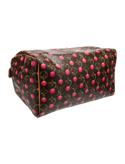 Louis Vuitton LV Monogram Speedy 25