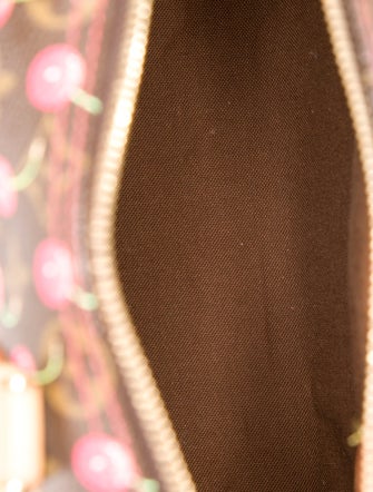 Louis Vuitton LV Monogram Speedy 25