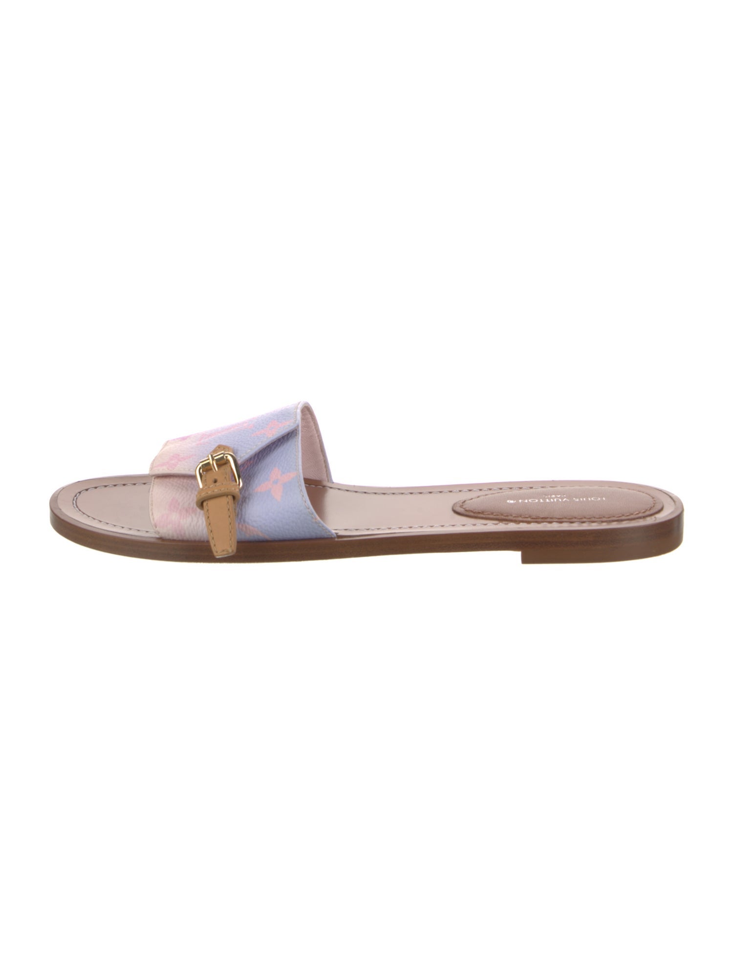 Louis Vuitton 2022 LV Monogram Slides