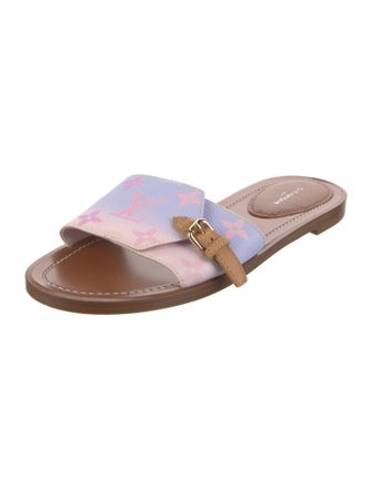Louis Vuitton 2022 LV Monogram Slides