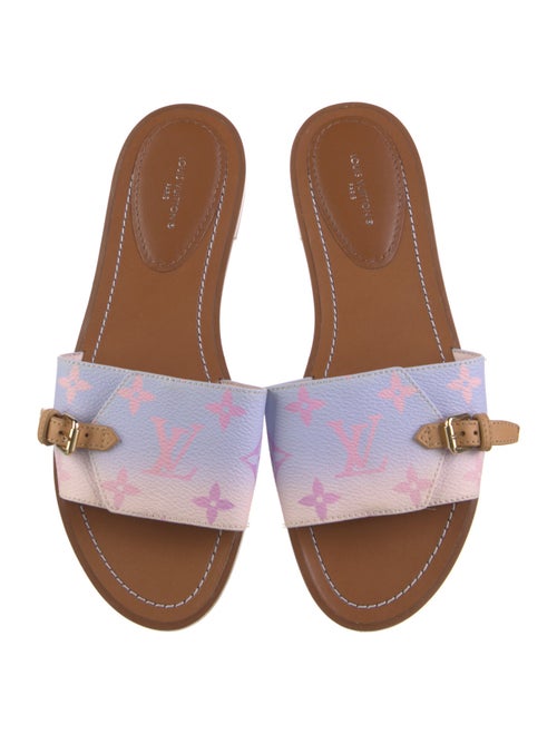 Louis Vuitton 2022 LV Monogram Slides