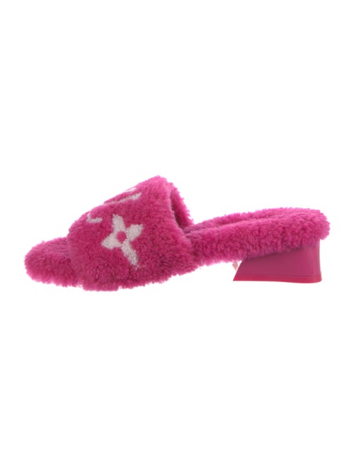 Louis Vuitton Shearling Printed Slides