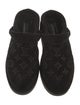 Louis Vuitton LV Monogram Suede Mules