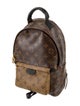 Louis Vuitton LV Monogram Palm Springs PM
