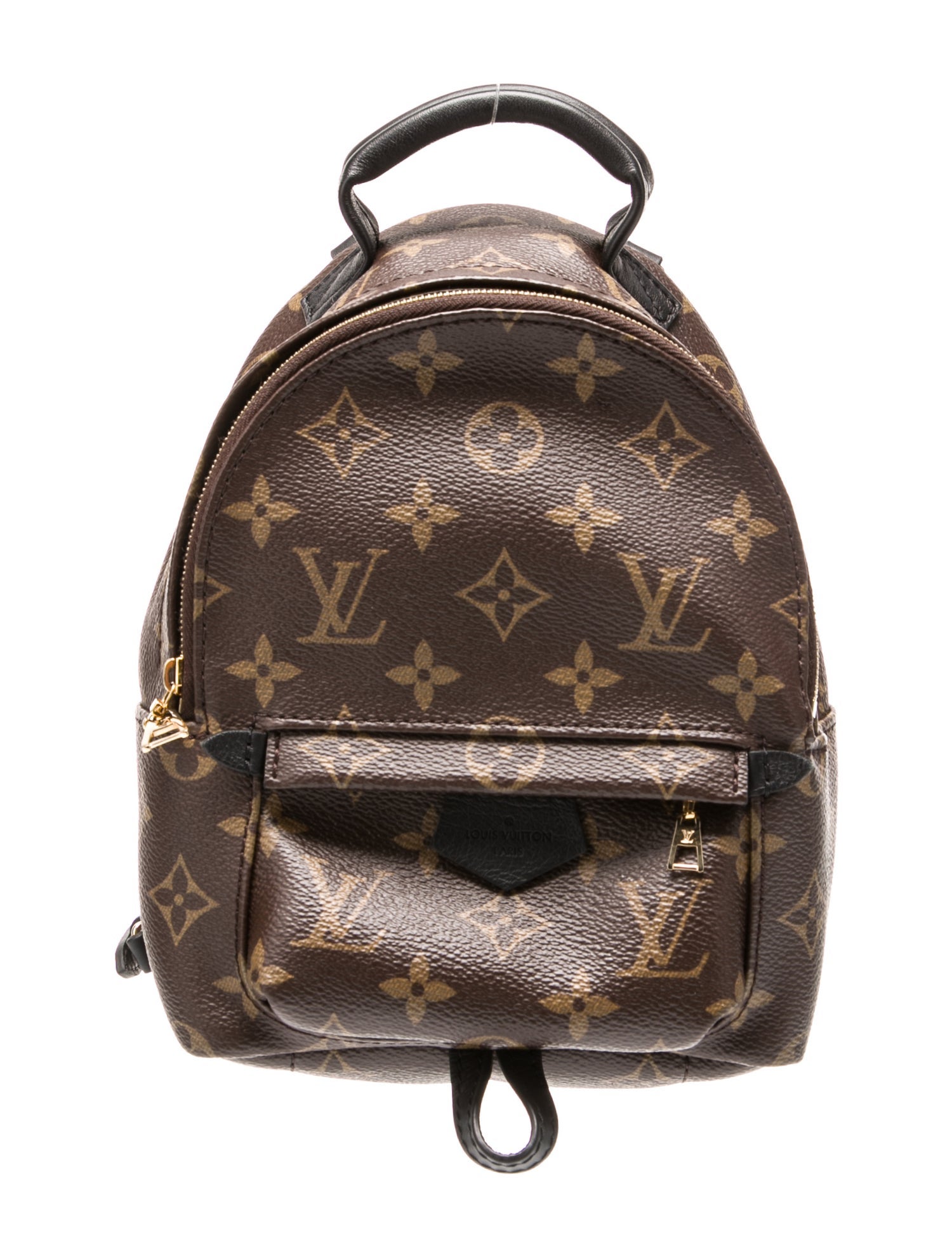 Louis Vuitton LV Monogram Palm Springs Mini