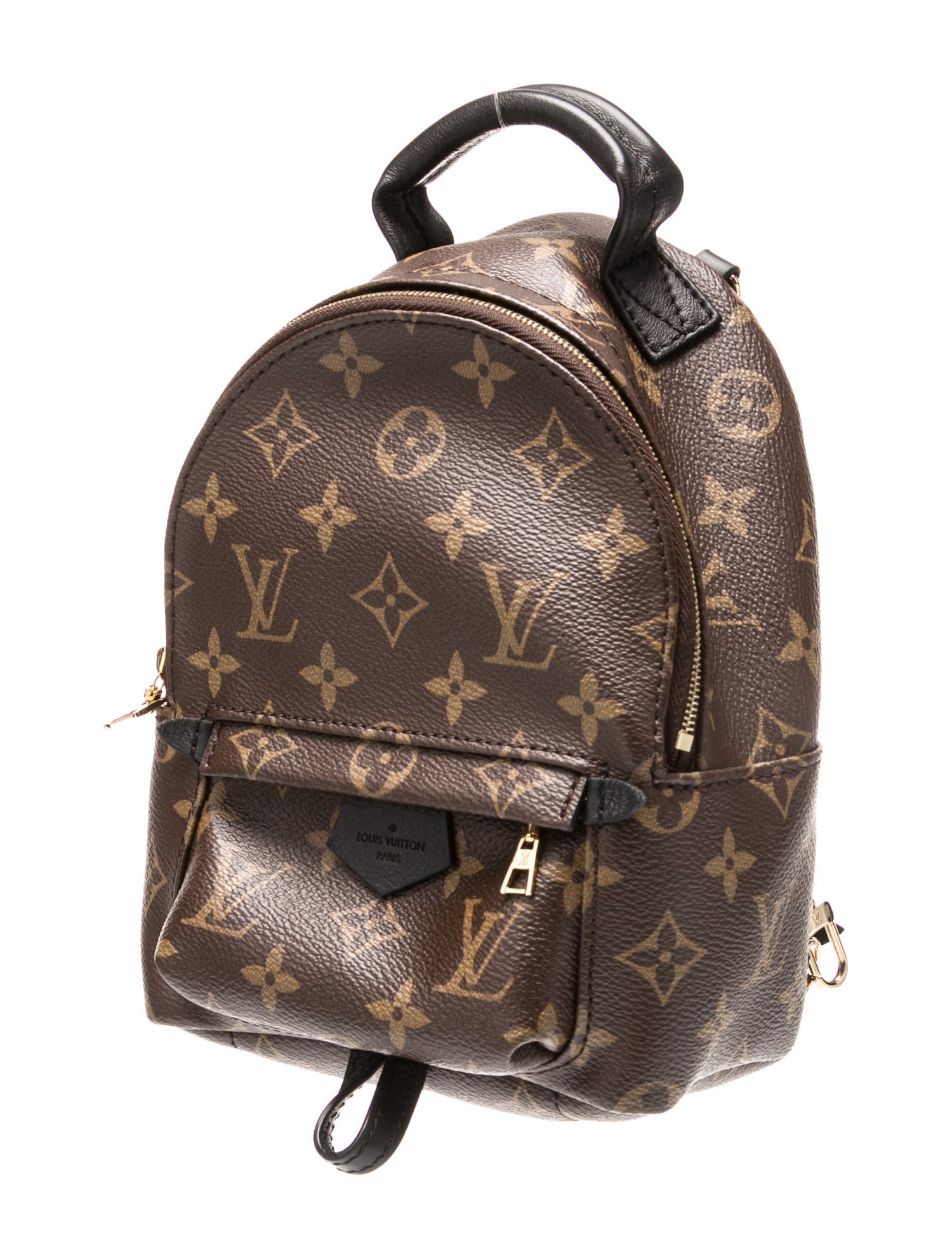 Louis Vuitton LV Monogram Palm Springs Mini