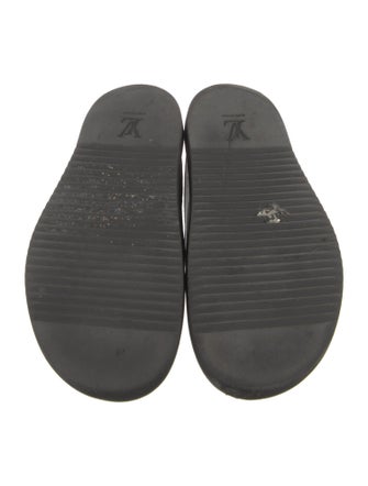 Louis Vuitton LV Monogram Slippers