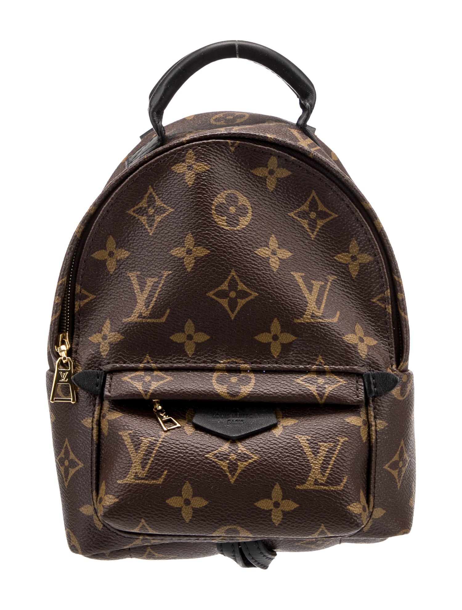 Louis Vuitton LV Monogram Palm Springs Mini