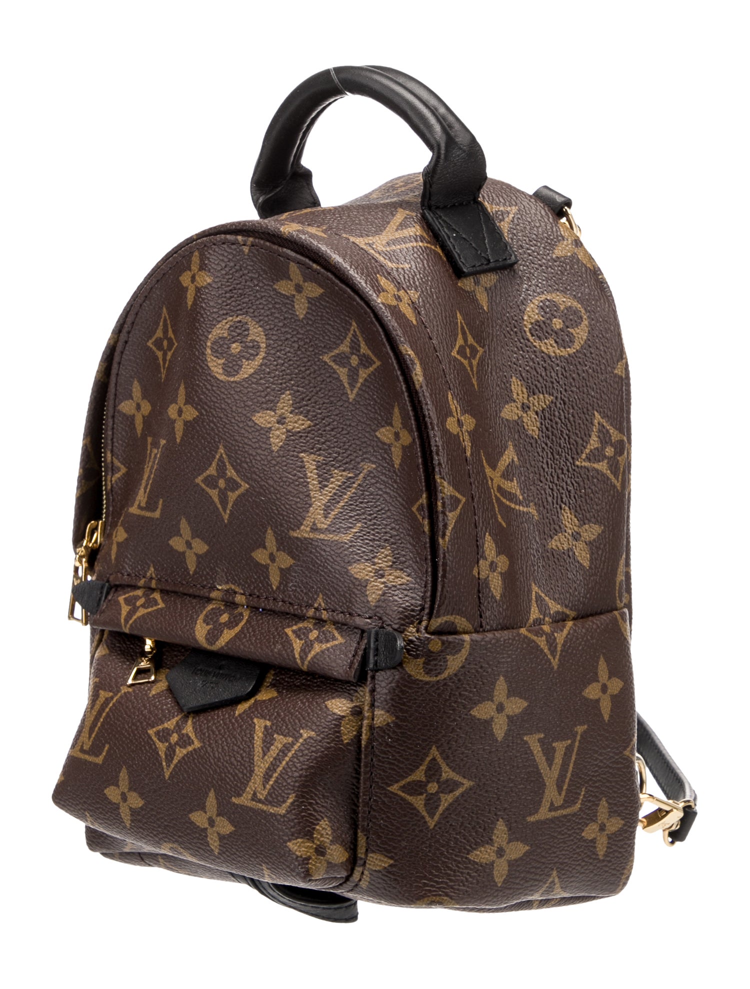 Louis Vuitton LV Monogram Palm Springs Mini