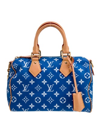 Louis Vuitton LV Monogram Top Handle Bag