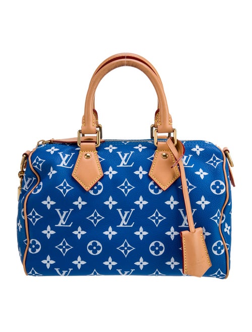 Louis Vuitton LV Monogram Top Handle Bag