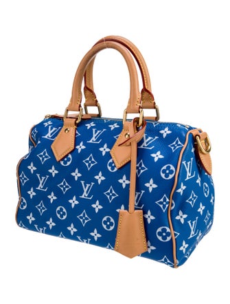 Louis Vuitton LV Monogram Top Handle Bag