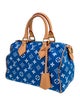 Louis Vuitton LV Monogram Top Handle Bag