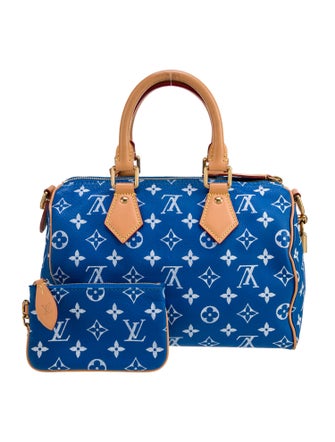 Louis Vuitton LV Monogram Top Handle Bag