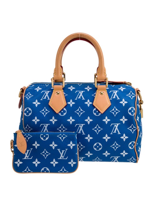 Louis Vuitton LV Monogram Top Handle Bag