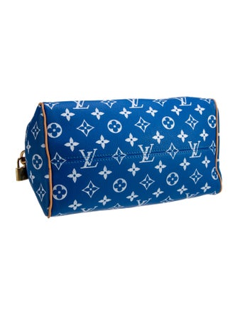 Louis Vuitton LV Monogram Top Handle Bag